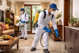 Top Trending Treatment Methods for Long-Term Pest Protection